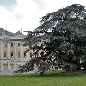 Villa Olmo Parco