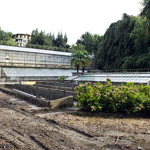 Cantieri Villa Olmo Como, Le Serre di Villa Olmo prima della riqualificazione
